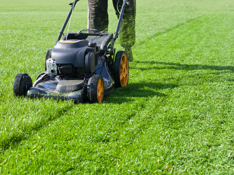 Reviving Green: Expert Commercial Lawn Mower Repair Services in Miami