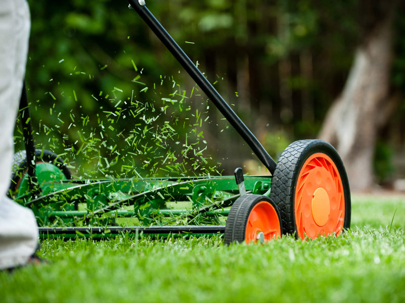 GreenScape Care: Premier Lawn Mower Maintenance Services in Miami