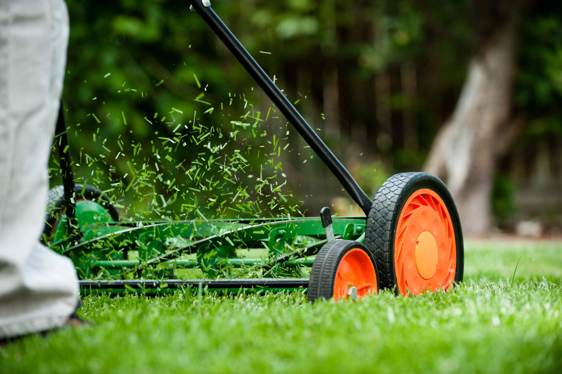 GreenScape Care: Premier Lawn Mower Maintenance Services in Miami