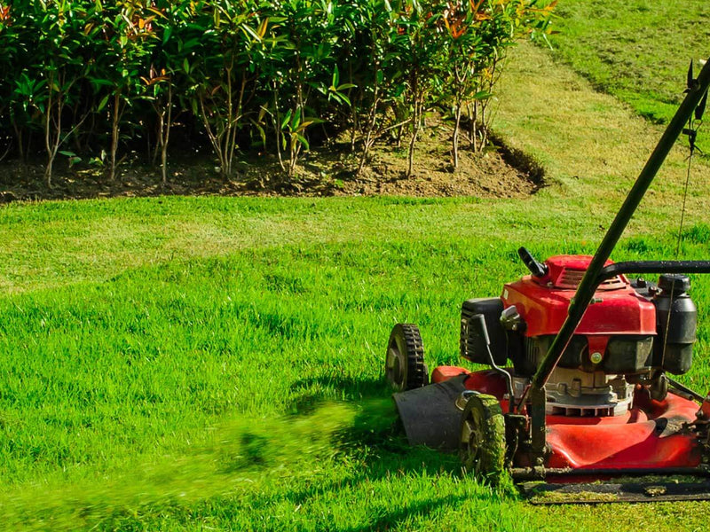 Enhancing Lawn Care Efficiency: Exmark Walk-Behind Mowers in Miami