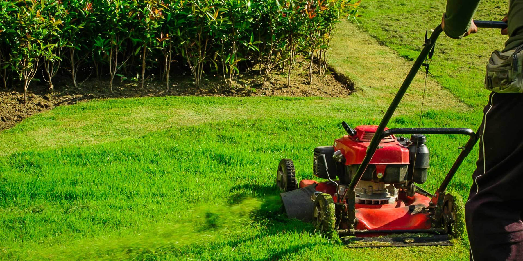 Enhancing Lawn Care Efficiency: Exmark Walk-Behind Mowers in Miami