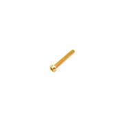 Scag  04010-10  -  SCREW, PHILLIPS RD. HEAD 1/4-20 X 2"