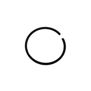 Echo 10001110530 RING, PISTON