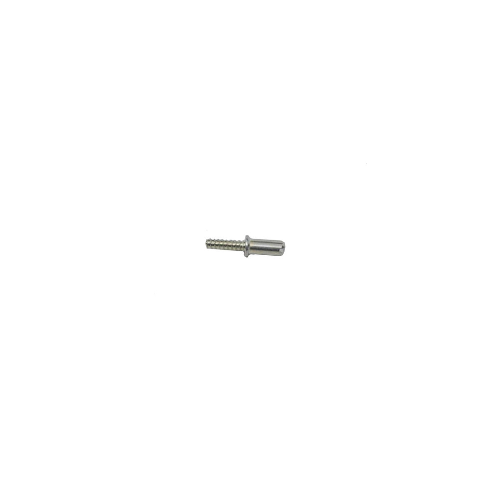 Echo 10091533930 SCREW