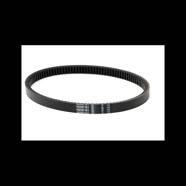 Drive Belt for Utility Vehicles, 102267101CC
