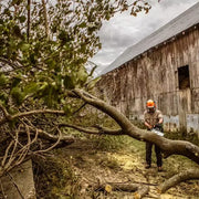 Stihl MS 362