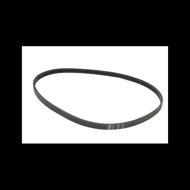 Double V-Belt For Heavy Duty Sod Cutters, 4166464