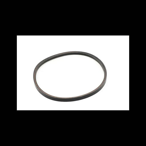 Belt Accessory, 4169475