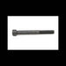 Cap Screw, 450767