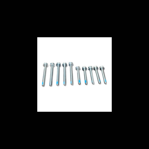 Scag  486901  -  SCREW KIT