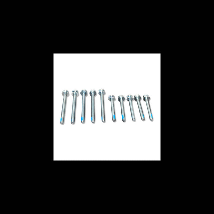 Scag  486901  -  SCREW KIT