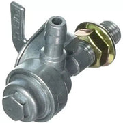 BRIGGS  310573GS  VLV, FUEL