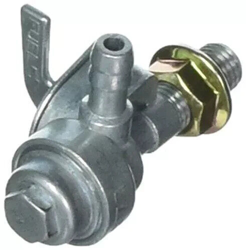 BRIGGS  310573GS  VLV, FUEL