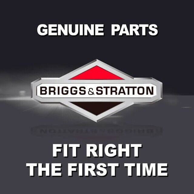 BRIGGS  597187  BATTERY