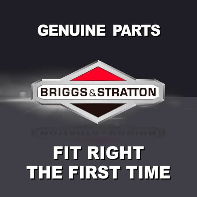 BRIGGS  209417GS  VALVE, FUEL