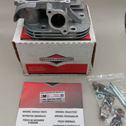 Briggs & Stratton 84006466 Cylinder Head
