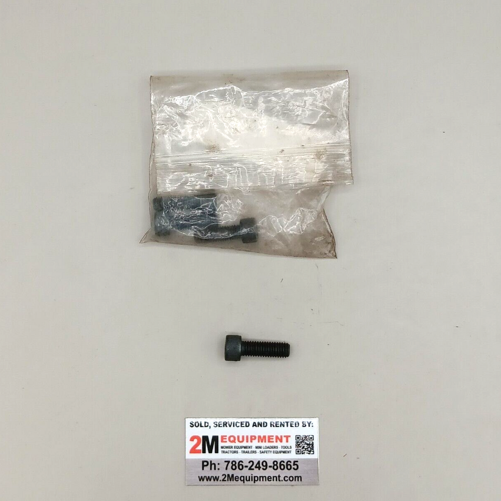 BOSCH POWER TOOL 1613414009 SCREW