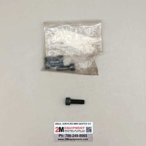 BOSCH POWER TOOL 1613414009 SCREW