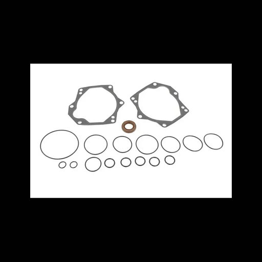 Hydrostatic Seal Kit, 6512943