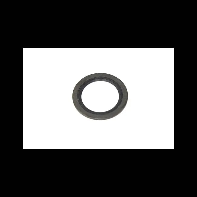 Gasket, 6515019