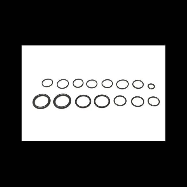 Hydraulic Seal Kit, 6563973