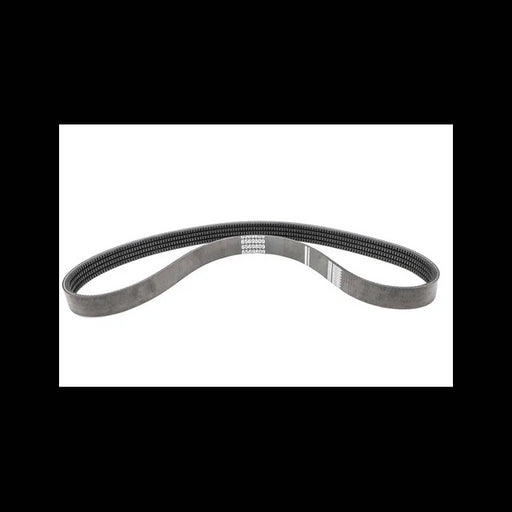 Drive Belt for Loaders, 6569809