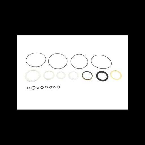 Hydrostatic Motor Seal Kit, 6598463