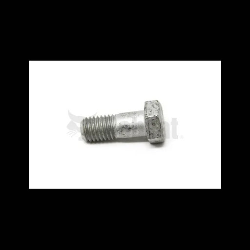 Tiller Tine Bolt, 6664527