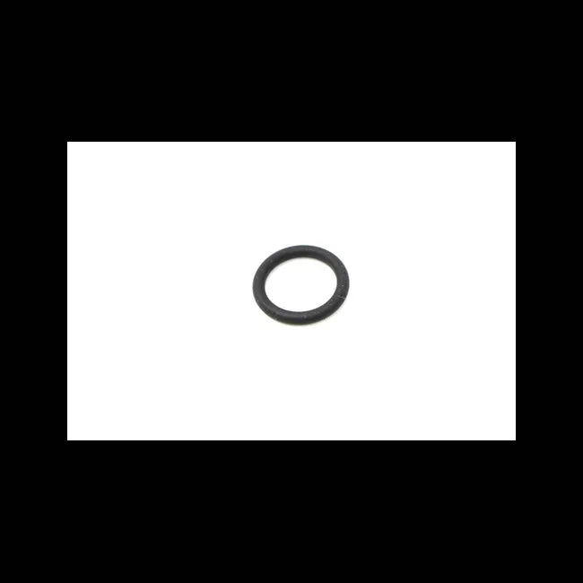 O-Ring, 6666401