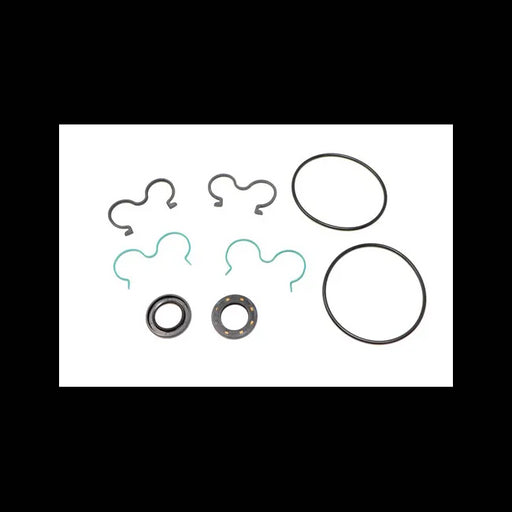 Gear Pump Seal Kit, 6666834