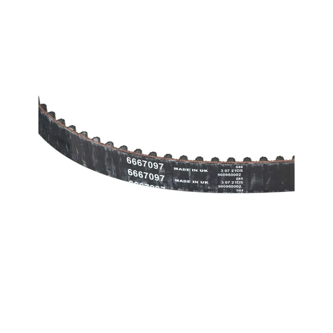 Bobcat 6667097 Timing Belt