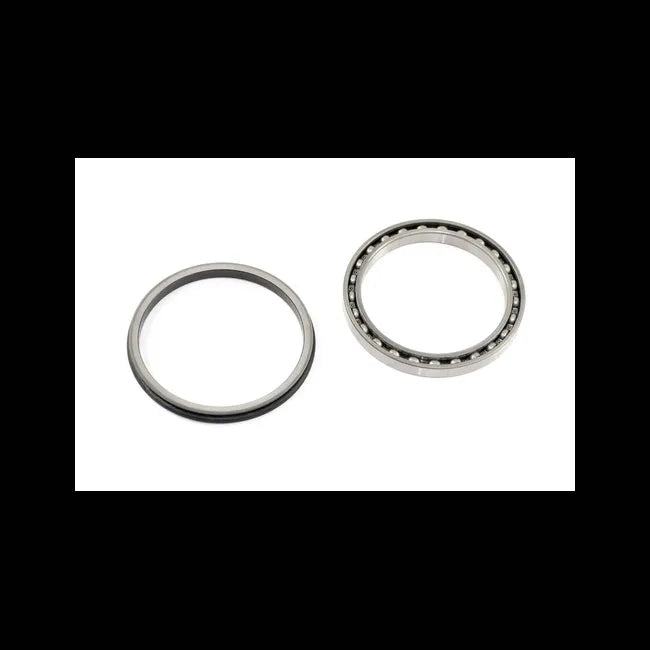 Bearing with Seal, 6669101