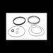 Travel Motor Seal Kit, 6669128