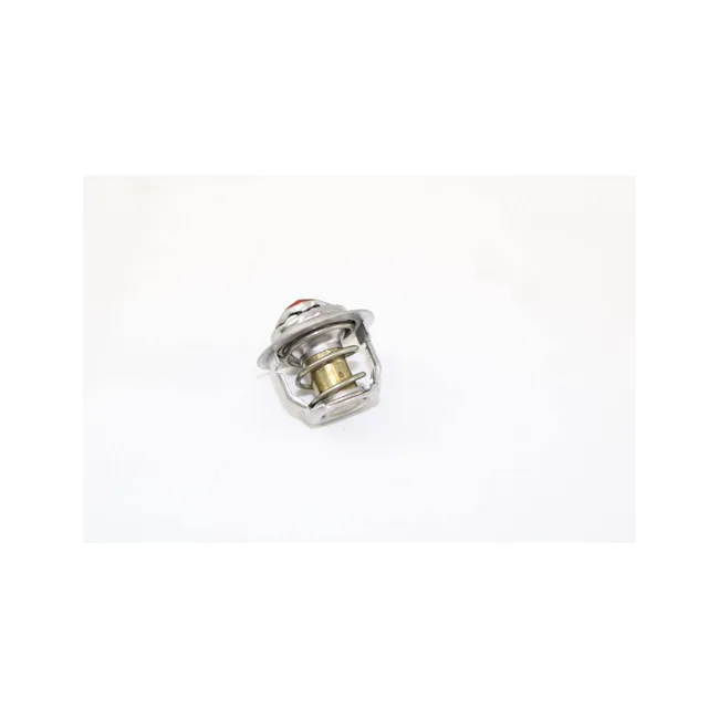 Bobcat 6674172 Thermostat