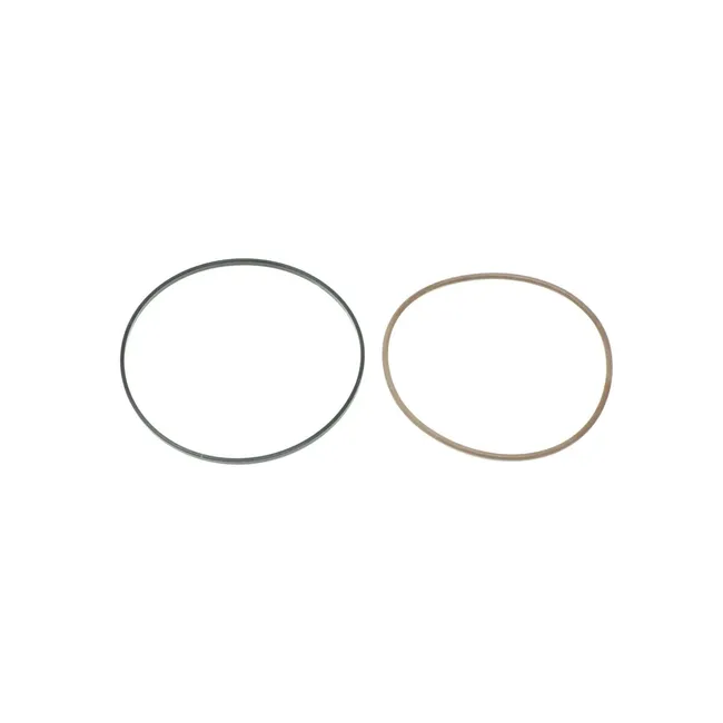 Bobcat 6675878 Hydrostatic Motor and Brake Seal