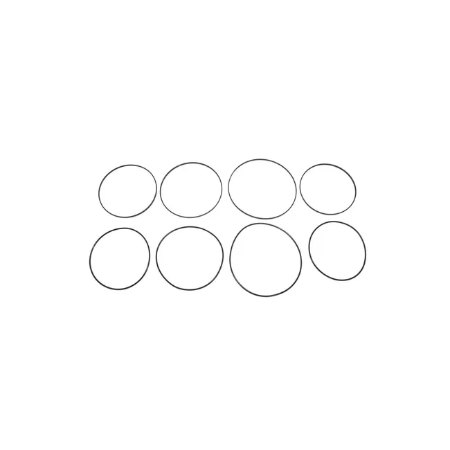 Bobcat 6678472 Ring Kit