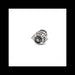 65 Amp Alternator, Remanufactured, 6678560REM