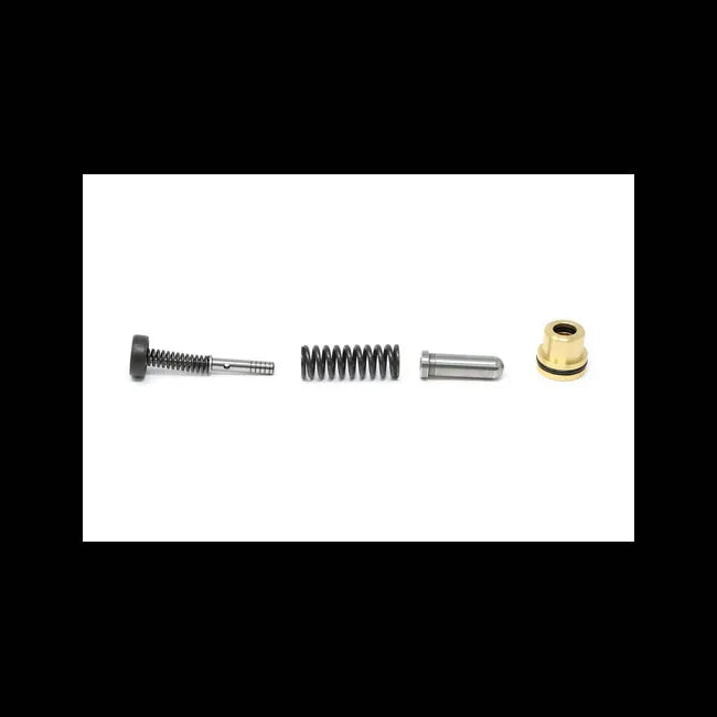 Plunger Kit for Excavators, 6679950