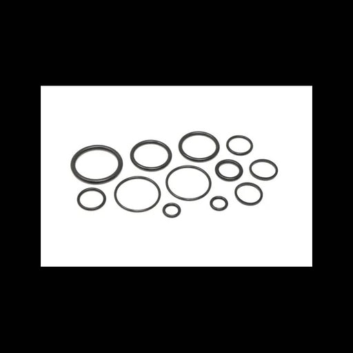 Control Valve Seal Kit, 6680043