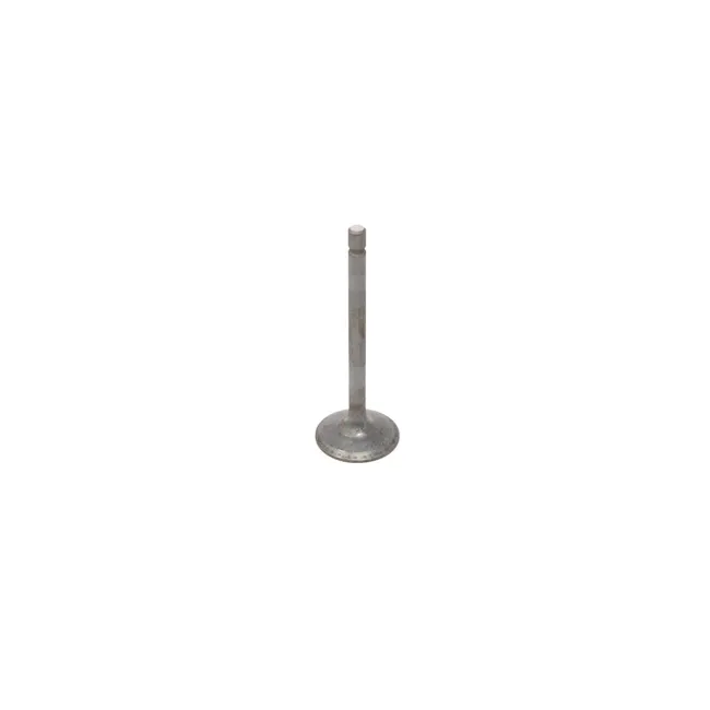 Bobcat 6680861 Valve Intake