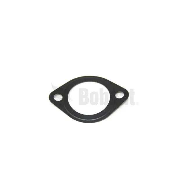 Thermostat Gasket, 6684863