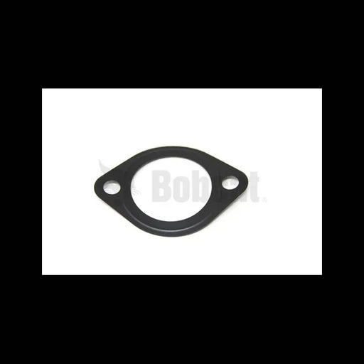 Thermostat Gasket, 6684863