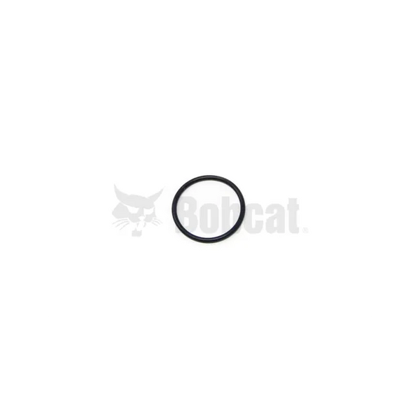 O-Ring, 6685465