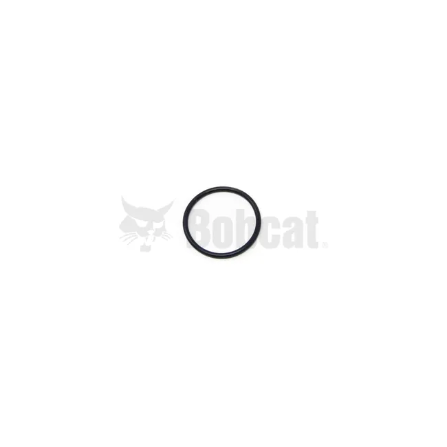 O-Ring, 6685465