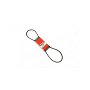 Alternator Belt, 6686655