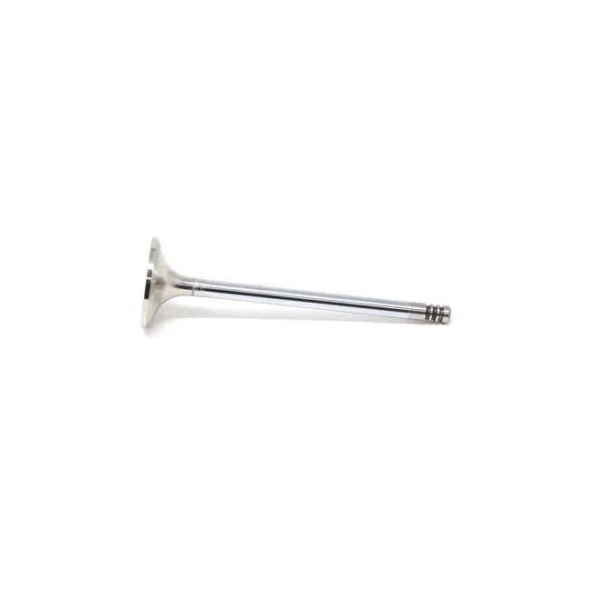 Bobcat 6688274 Intake Valve