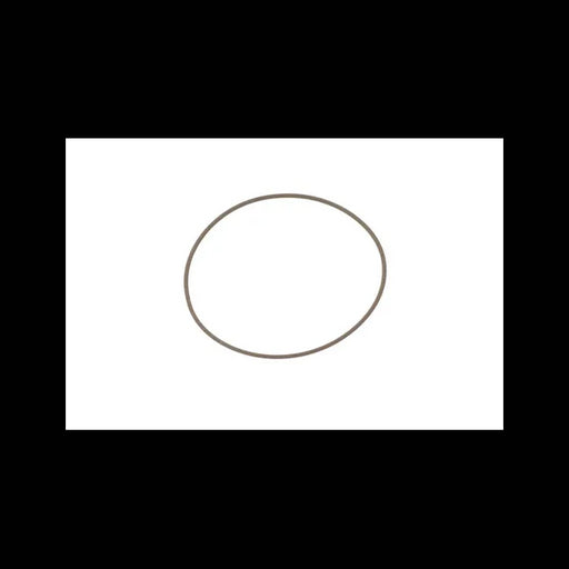 O-Ring, 6689089