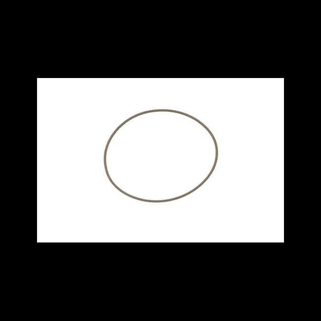 O-Ring, 6689089