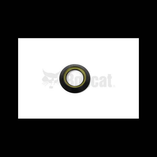 Seal for Loaders, 6689112