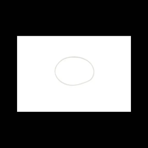 O-Ring, 6689564